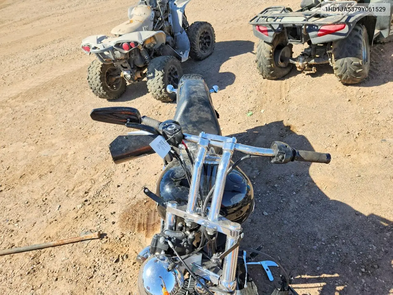 softail
