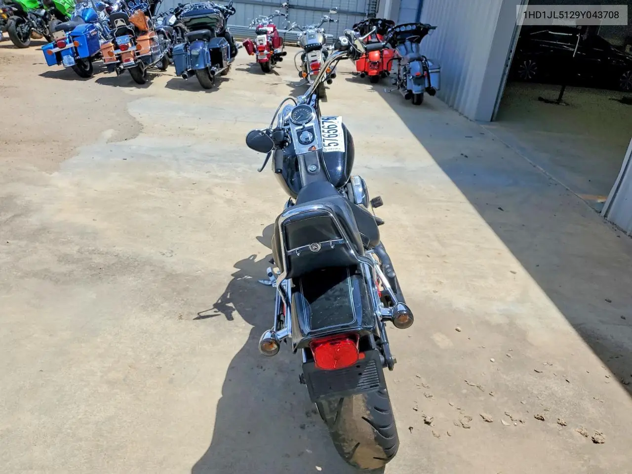 2009 Harley-Davidson Fxstc VIN: 1HD1JL5129Y043708 Lot: 57656766
