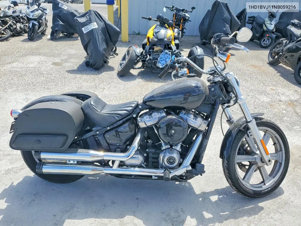2022 Harley-Davidson Fxst VIN: 1HD1BVJ11NB059216 Lot: 48449916