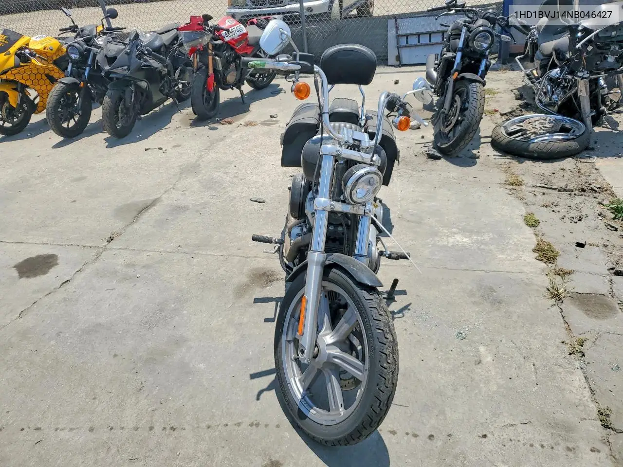 2022 Harley-Davidson Fxst VIN: 1HD1BVJ14NB046427 Lot: 56139766