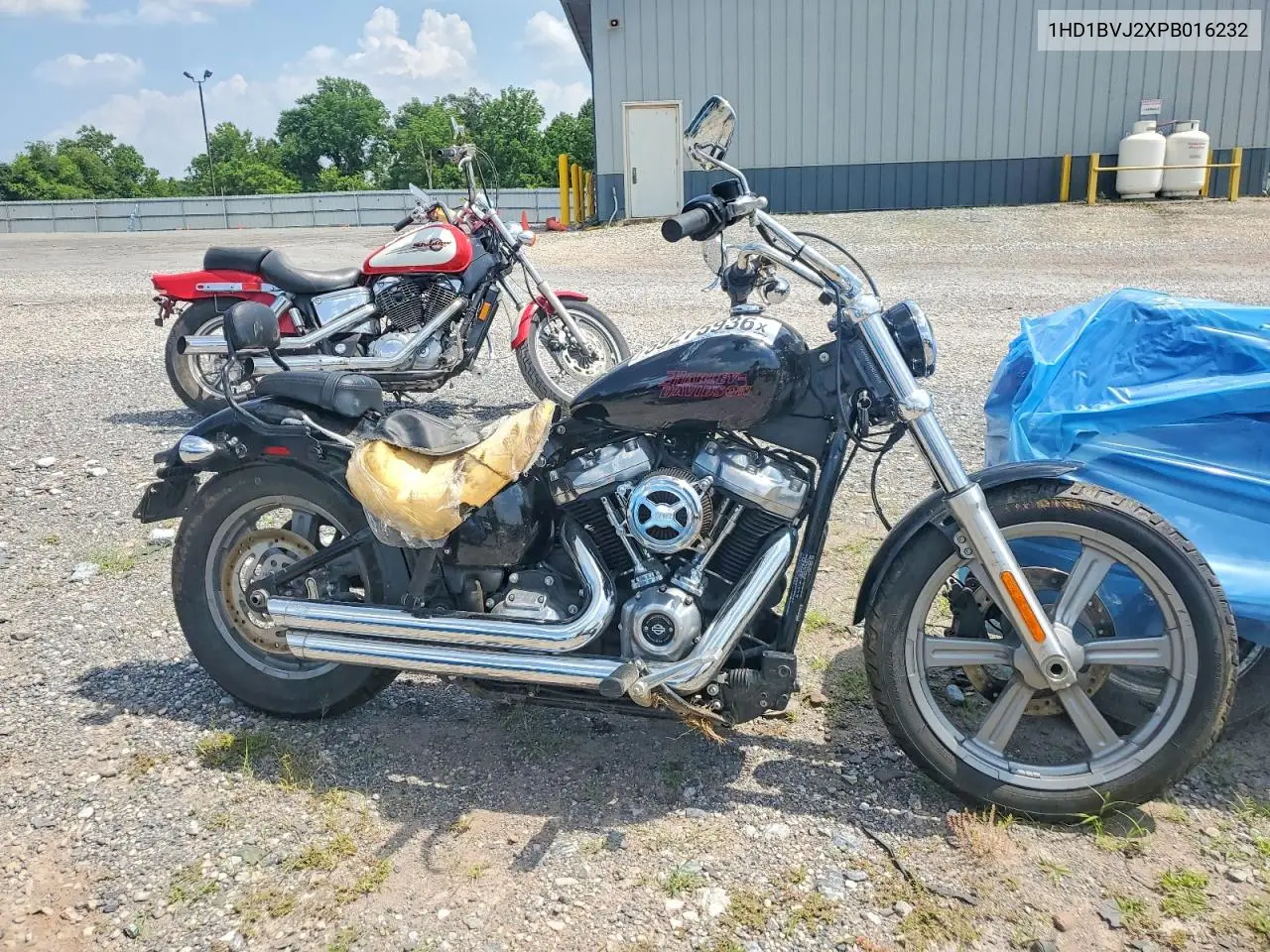2023 Harley-Davidson Fxst VIN: 1HD1BVJ2XPB016232 Lot: 59275936