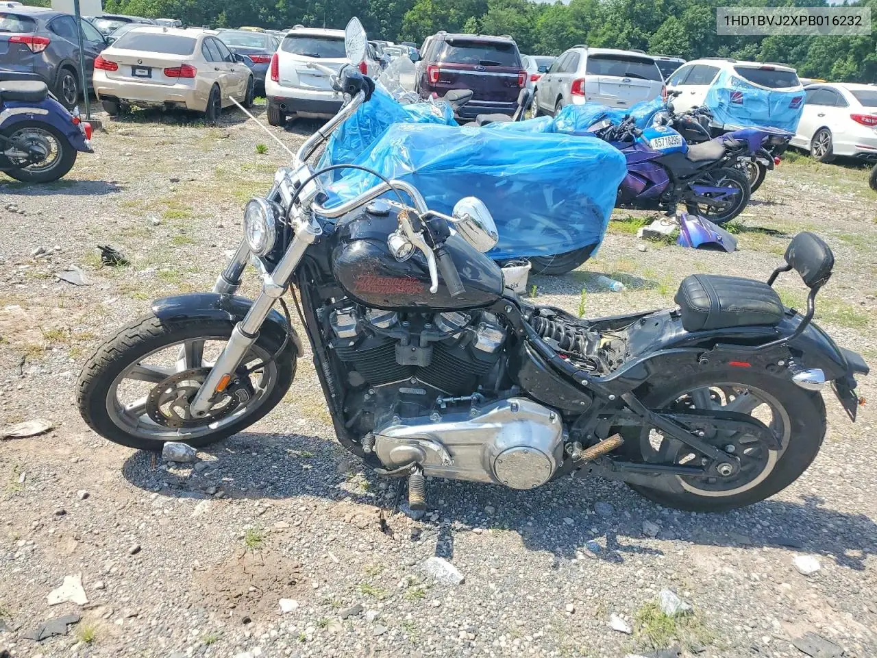 2023 Harley-Davidson Fxst VIN: 1HD1BVJ2XPB016232 Lot: 59275936