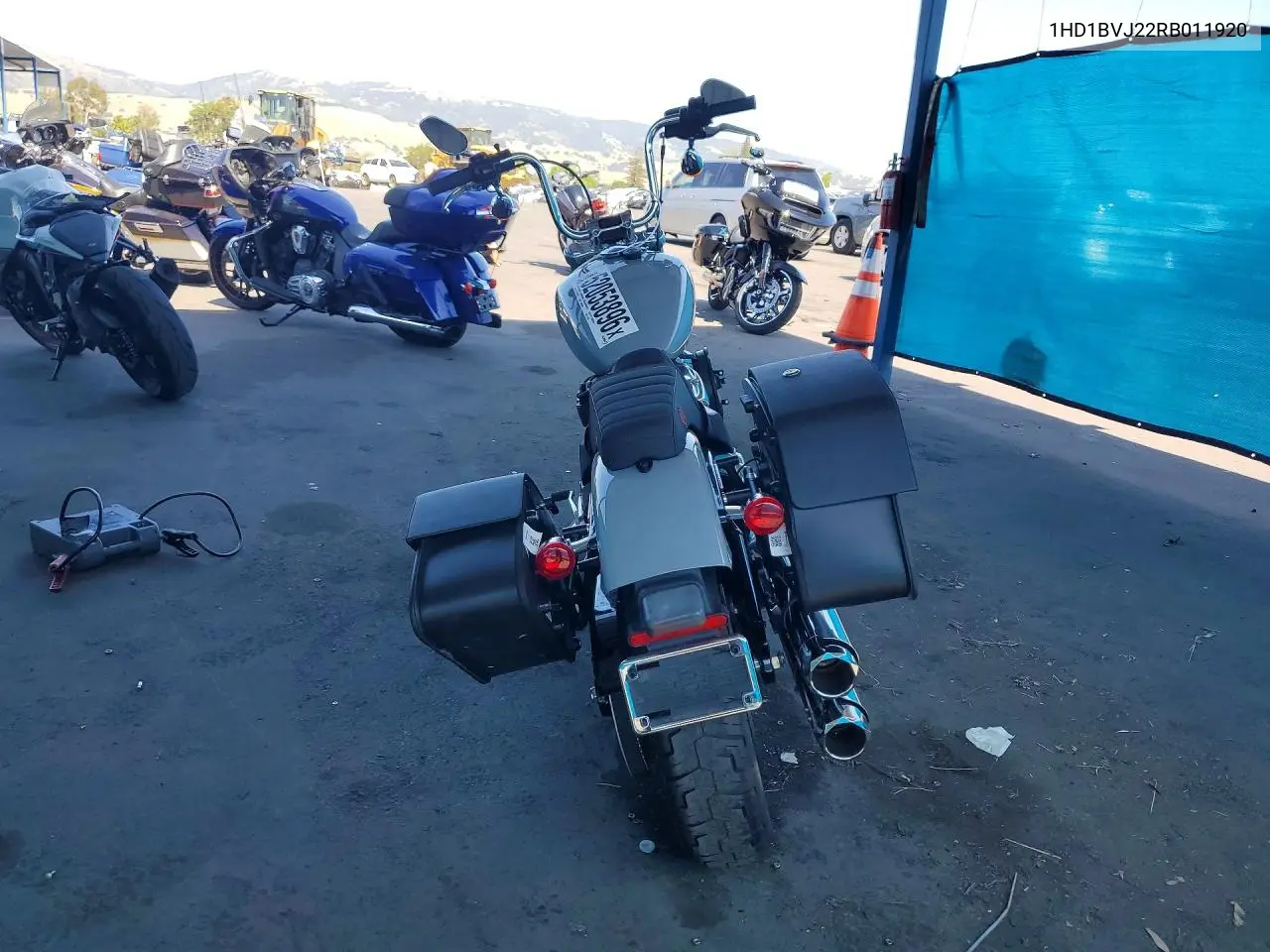 2024 Harley-Davidson Fxst VIN: 1HD1BVJ22RB011920 Lot: 52053896
