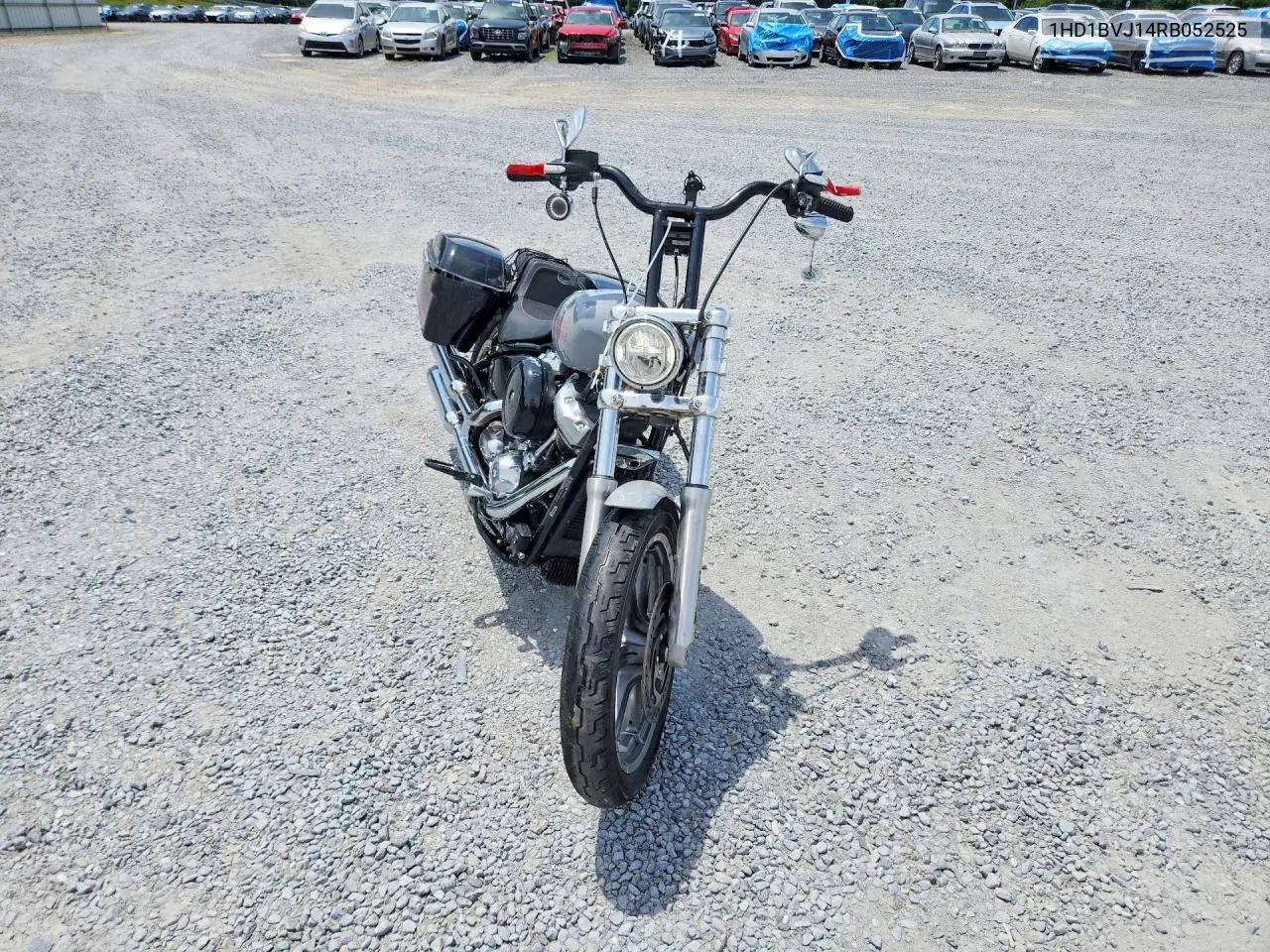 2024 Harley-Davidson Fxst VIN: 1HD1BVJ14RB052525 Lot: 58834626