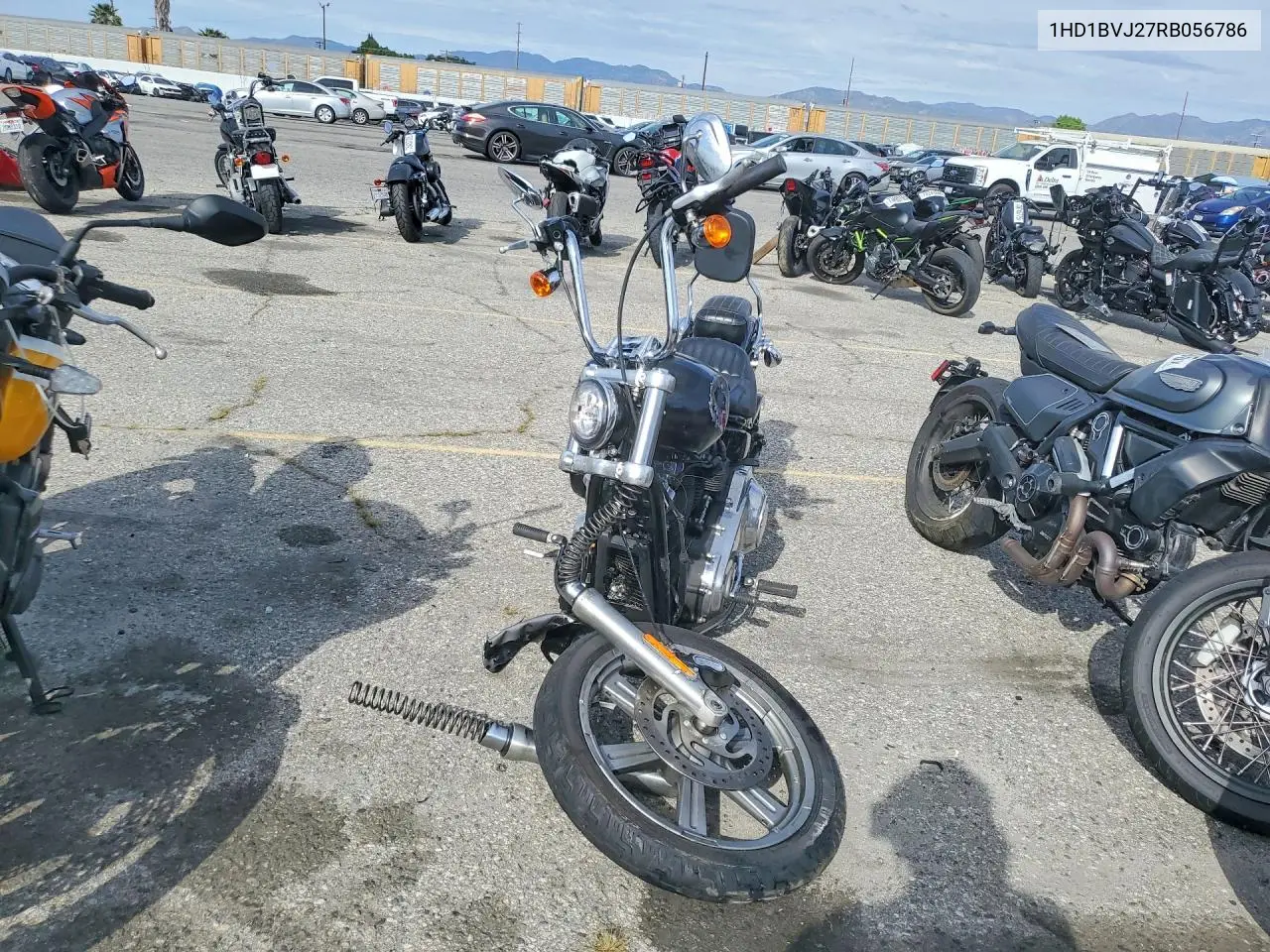 softail