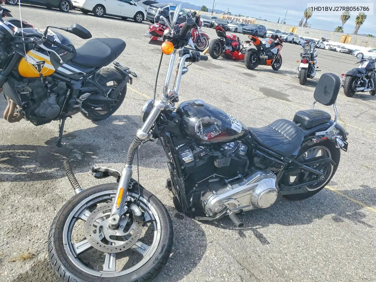 softail