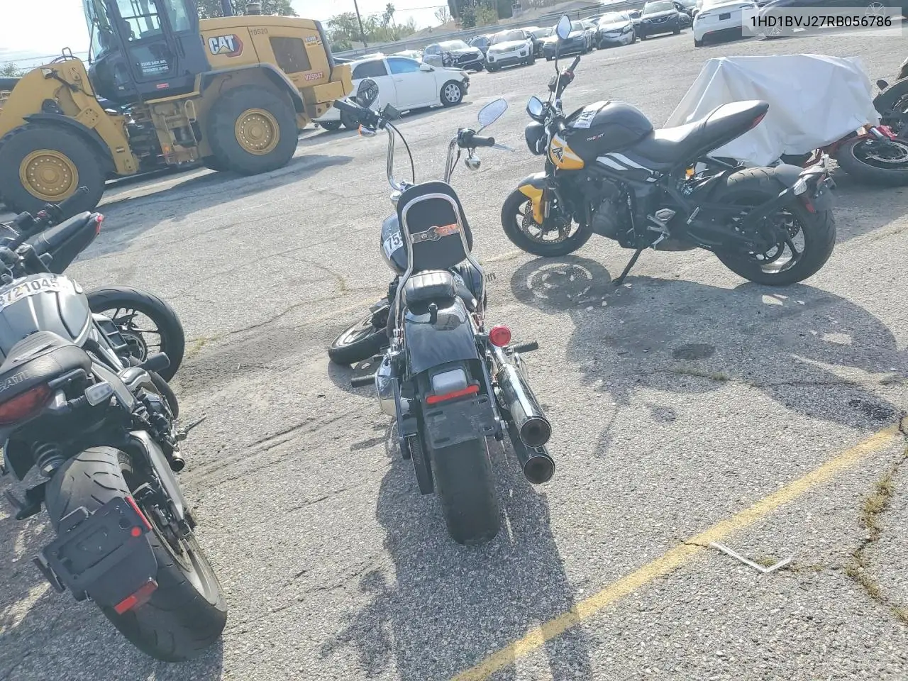 softail