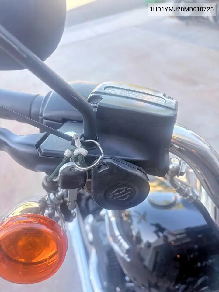 2021 Harley-Davidson Flsb VIN: 1HD1YMJ28MB010725 Lot: 57032336