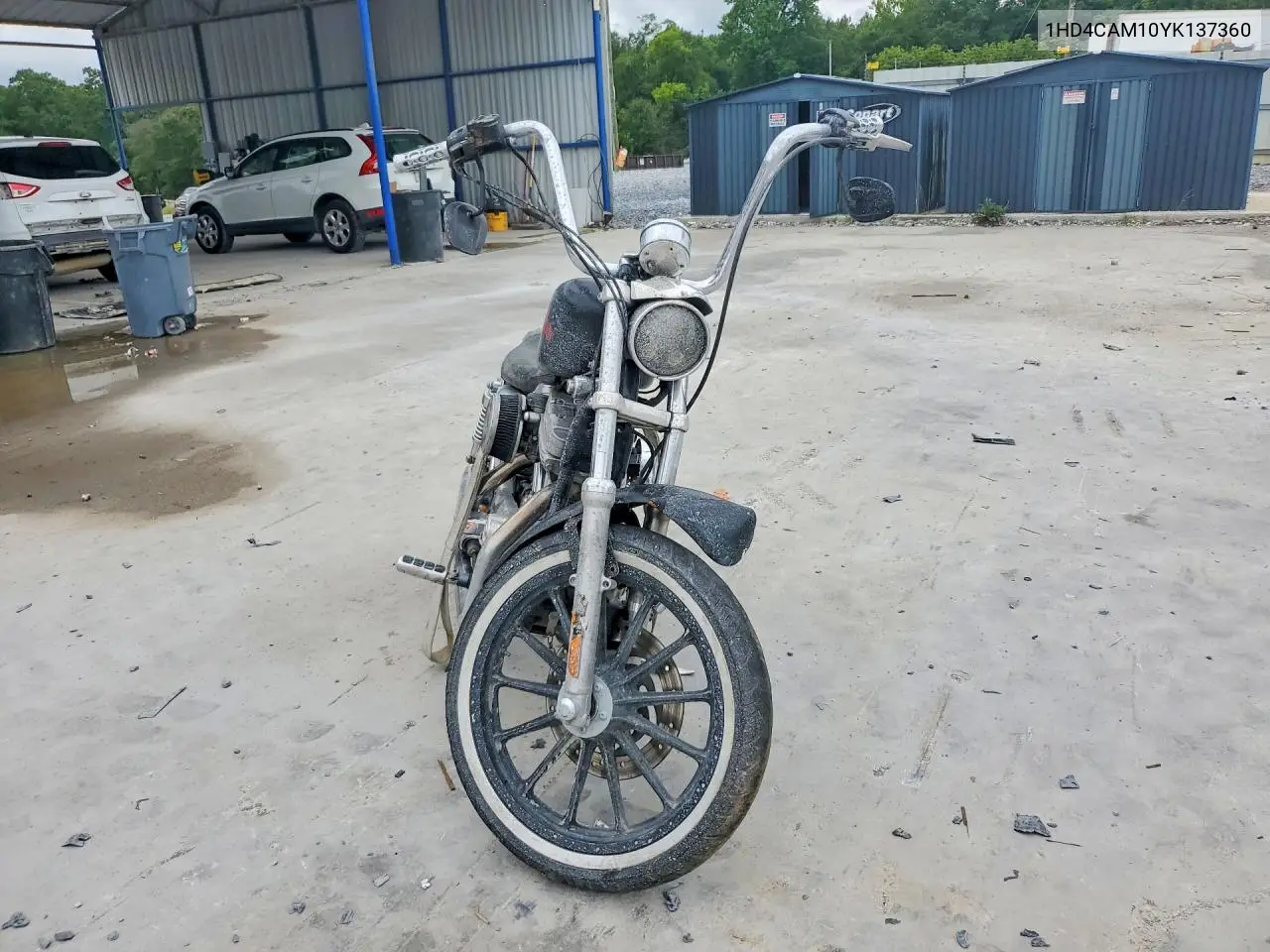2000 Harley-Davidson Xl883 VIN: 1HD4CAM10YK137360 Lot: 60876556