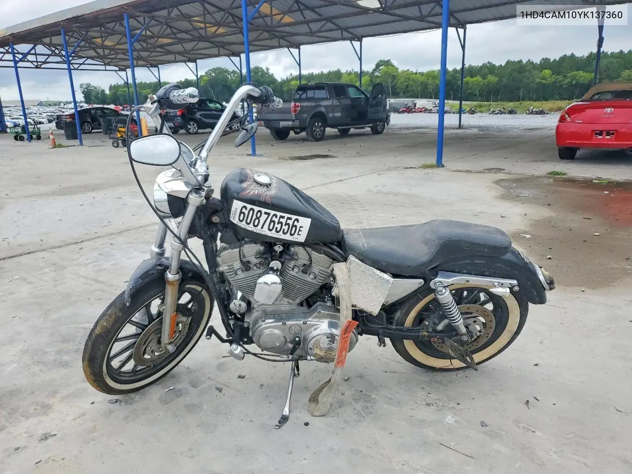 2000 Harley-Davidson Xl883 VIN: 1HD4CAM10YK137360 Lot: 60876556