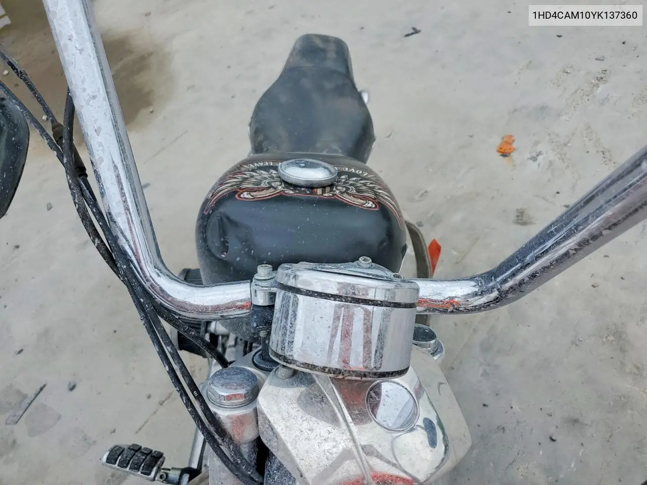 2000 Harley-Davidson Xl883 VIN: 1HD4CAM10YK137360 Lot: 60876556