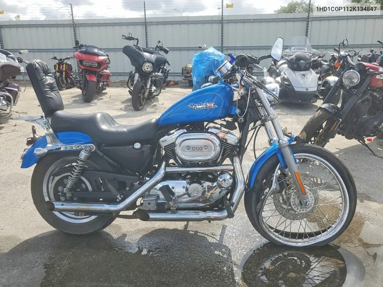 2002 Harley-Davidson Xl1200 C VIN: 1HD1CGP112K134847 Lot: 48769316