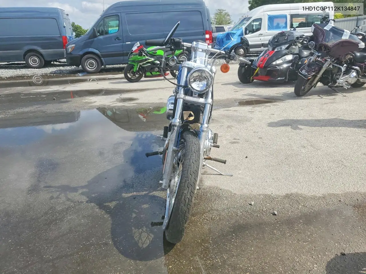 2002 Harley-Davidson Xl1200 C VIN: 1HD1CGP112K134847 Lot: 48769316