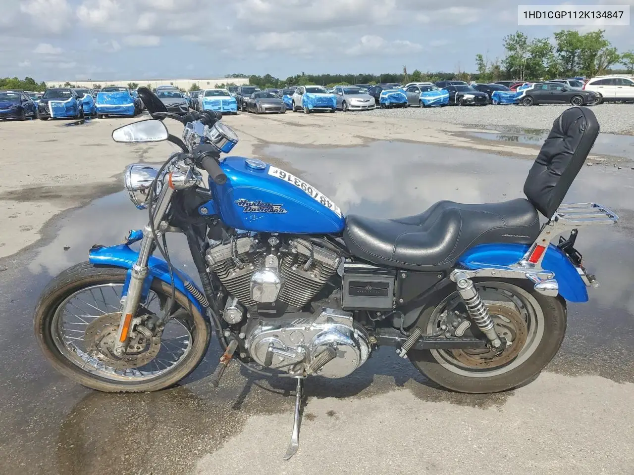 2002 Harley-Davidson Xl1200 C VIN: 1HD1CGP112K134847 Lot: 48769316