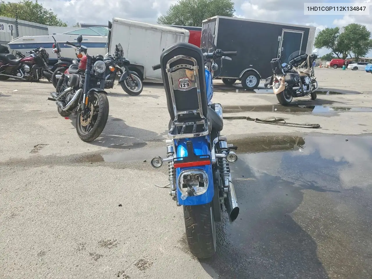 2002 Harley-Davidson Xl1200 C VIN: 1HD1CGP112K134847 Lot: 48769316
