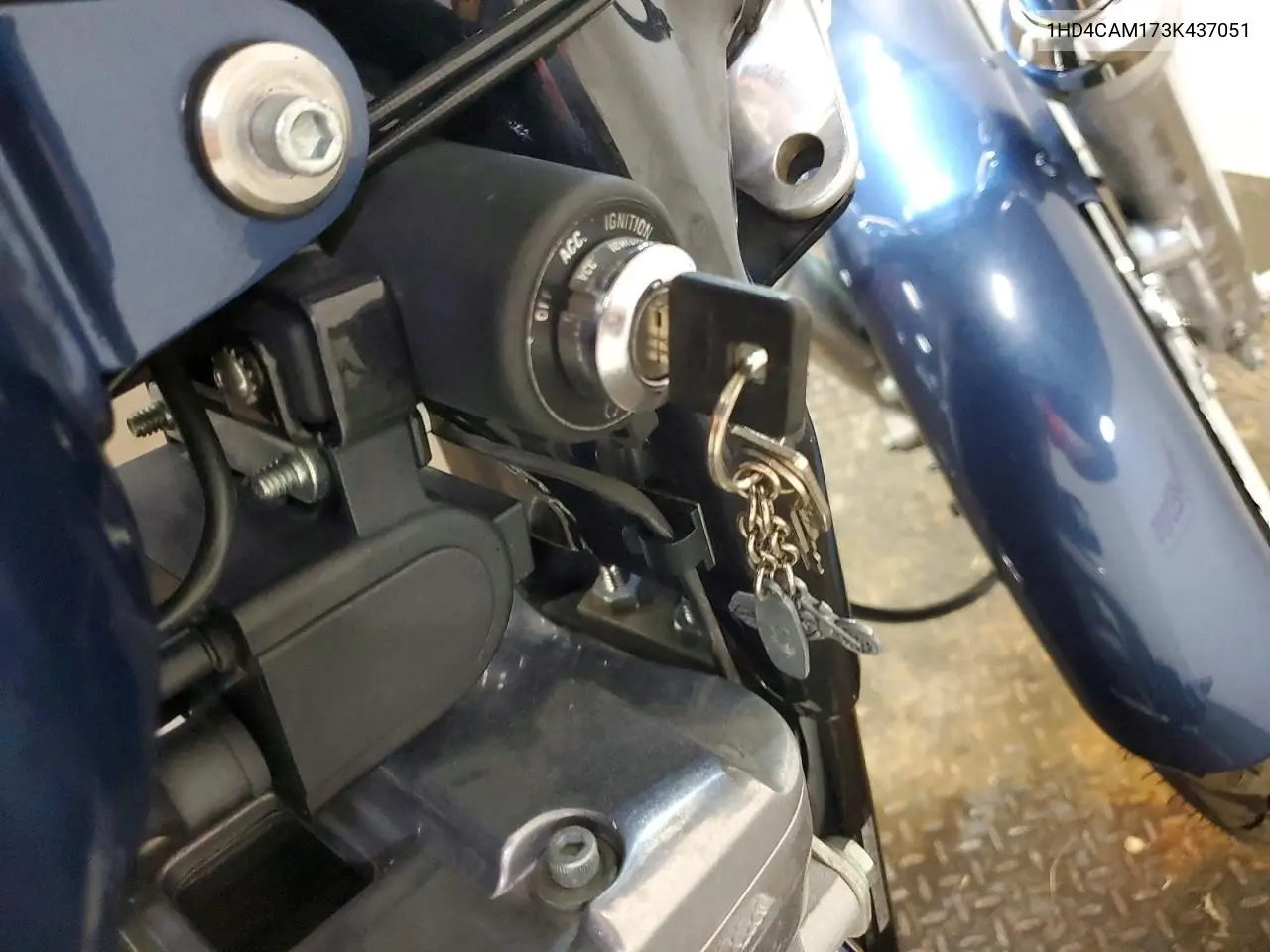 2003 Harley-Davidson Xl883 VIN: 1HD4CAM173K437051 Lot: 60227736