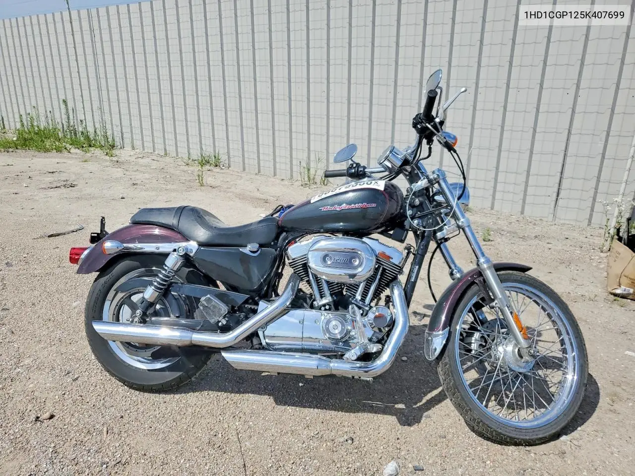 2005 Harley-Davidson Xl1200 C VIN: 1HD1CGP125K407699 Lot: 58879556