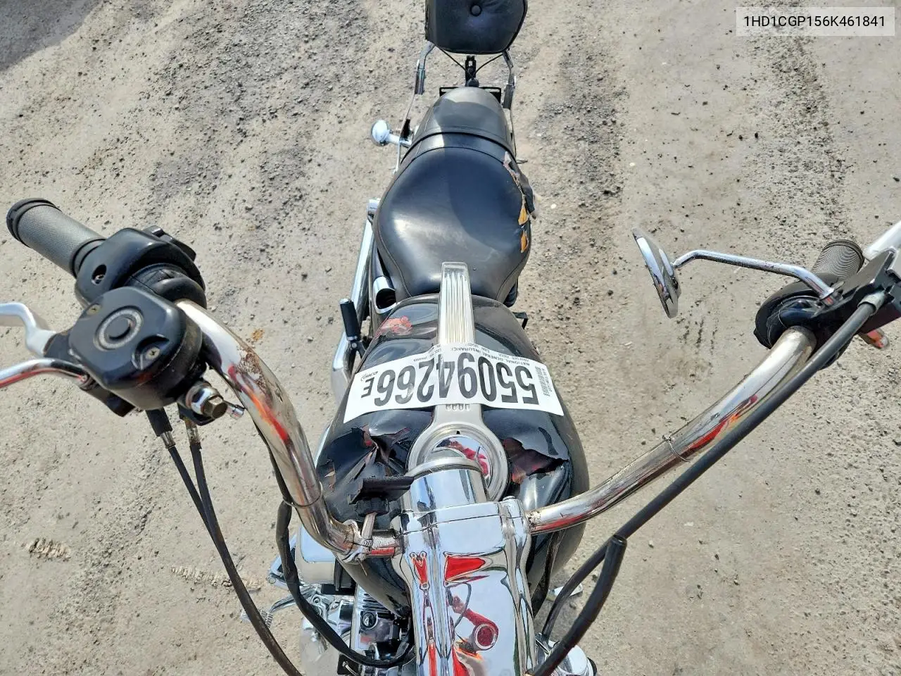 sportster
