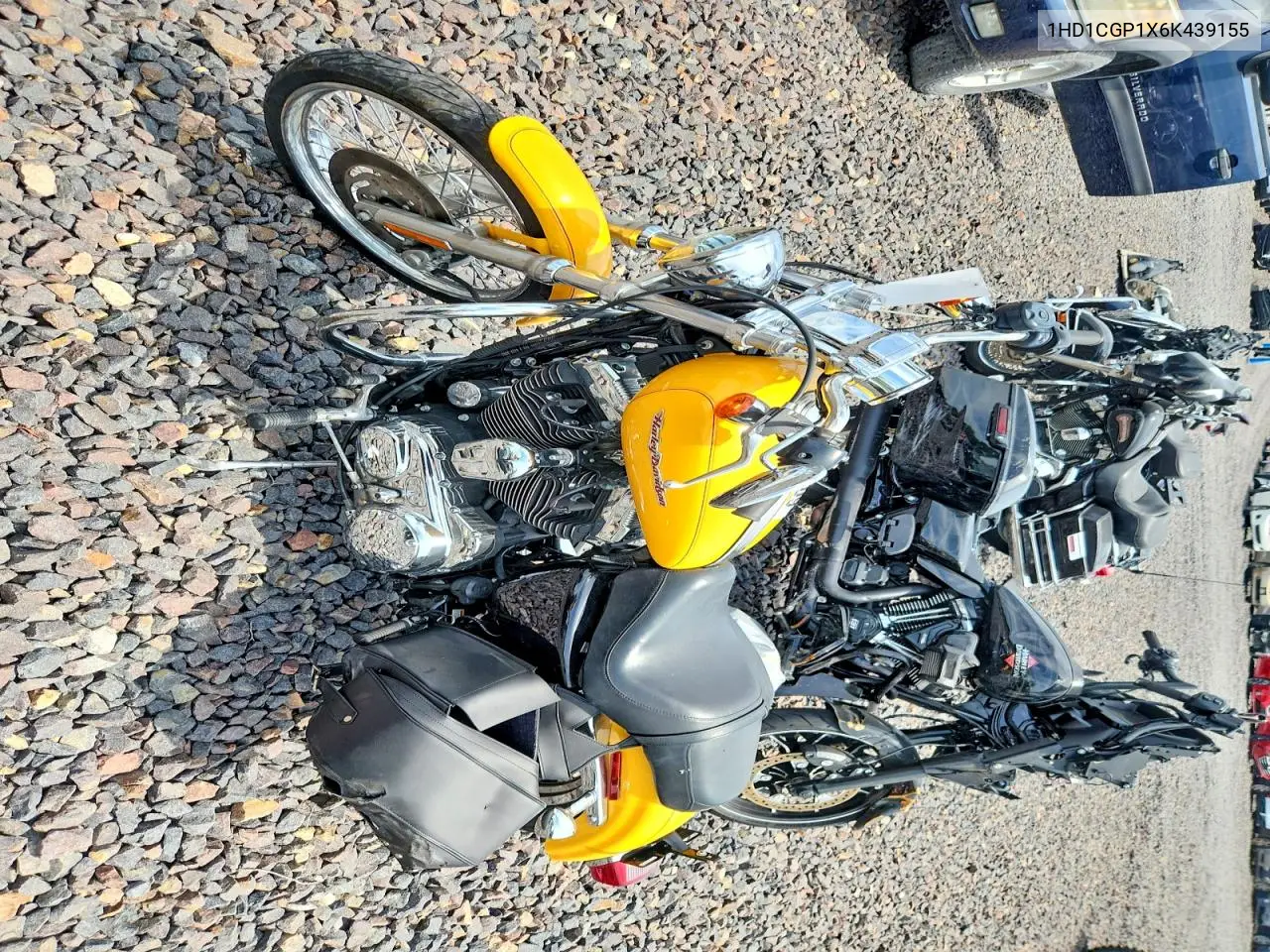 2006 Harley-Davidson Xl1200 C VIN: 1HD1CGP1X6K439155 Lot: 60752916