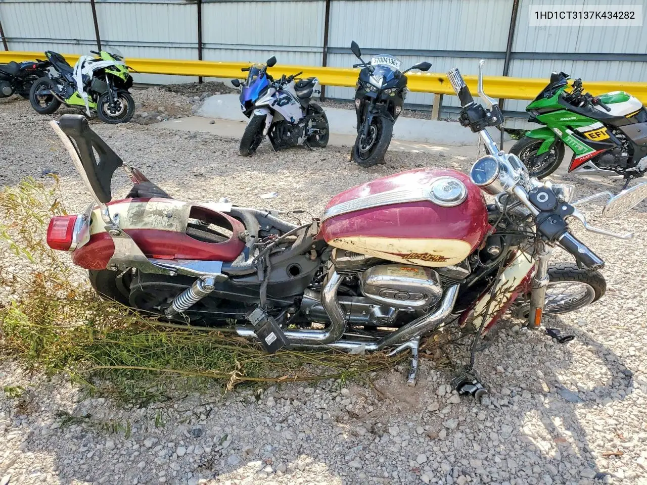 2007 Harley-Davidson Xl1200 C VIN: 1HD1CT3137K434282 Lot: 61137486