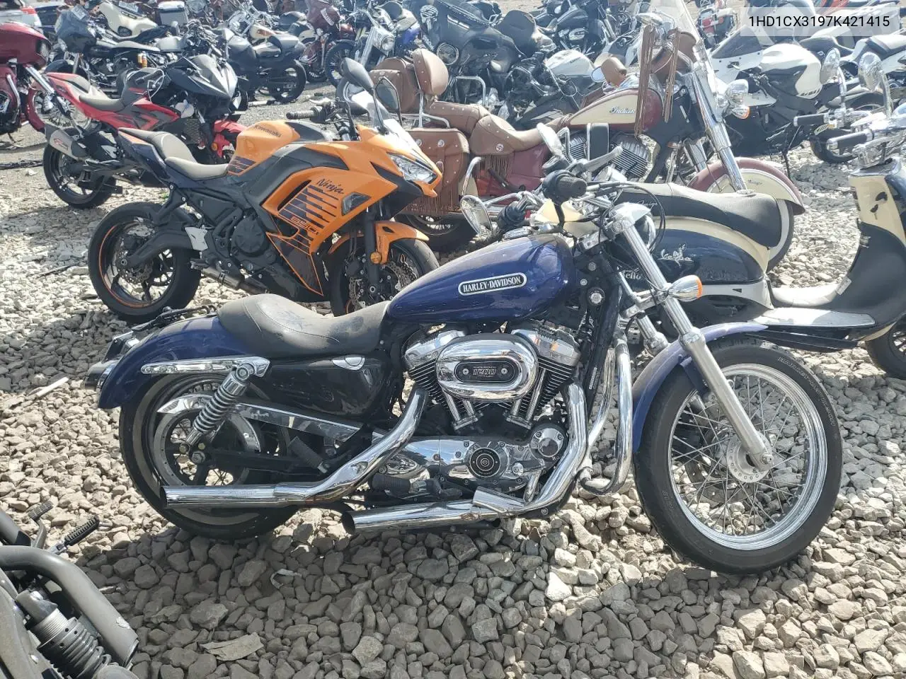 sportster
