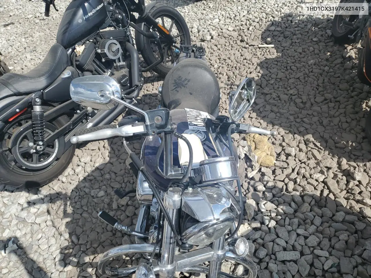 sportster
