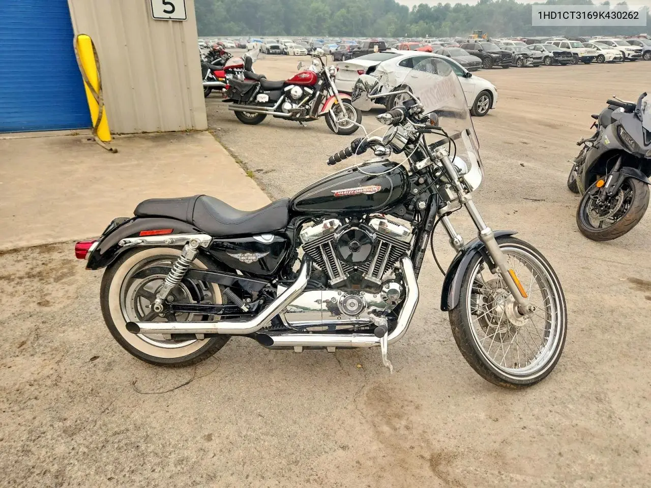 2009 Harley-Davidson Xl1200 C VIN: 1HD1CT3169K430262 Lot: 58046276