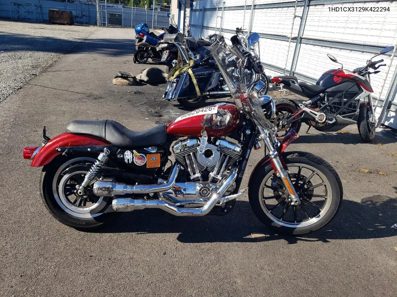 2009 Harley-Davidson Xl1200 L VIN: 1HD1CX3129K422294 Lot: 60620426