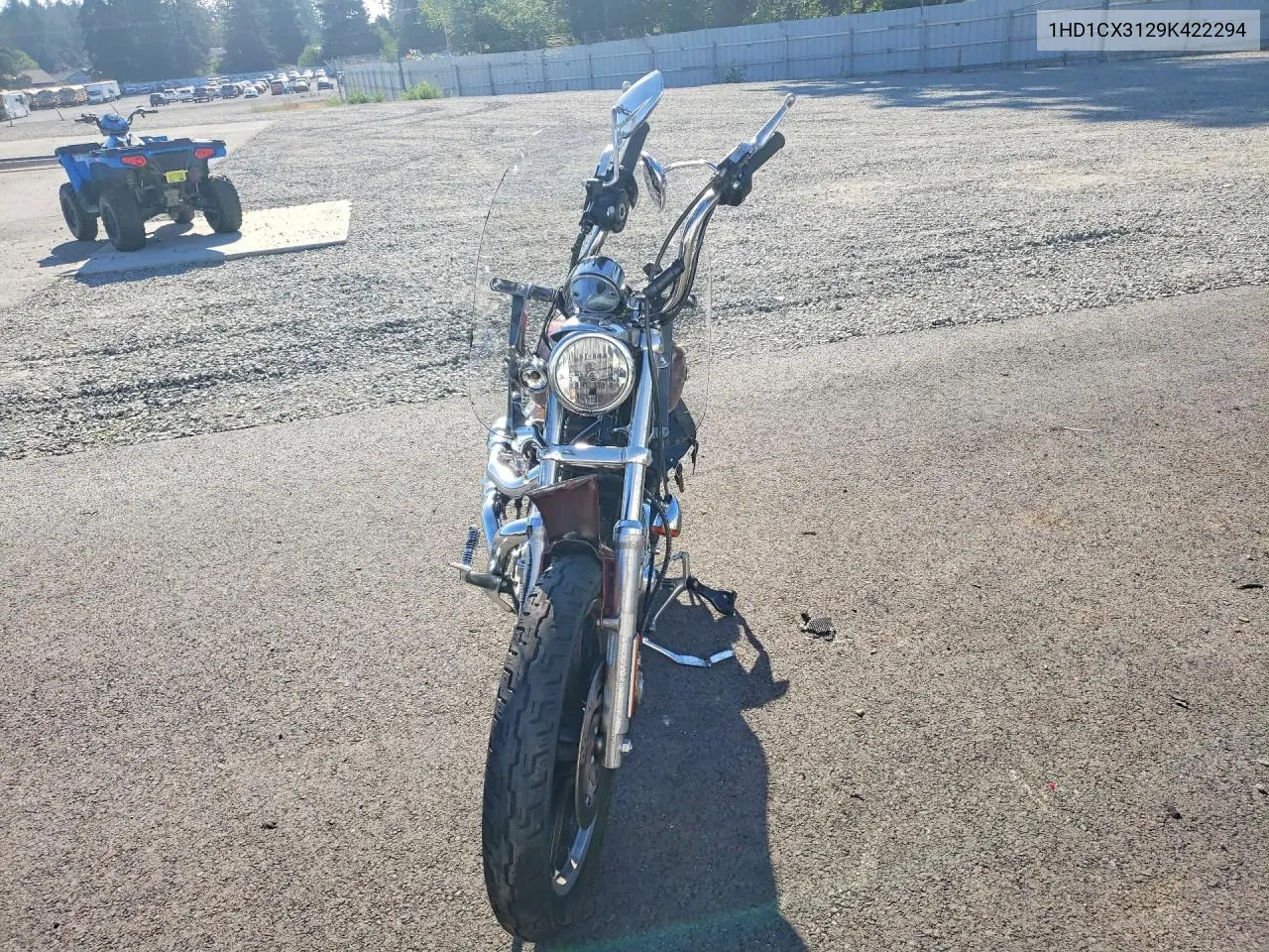 2009 Harley-Davidson Xl1200 L VIN: 1HD1CX3129K422294 Lot: 60620426