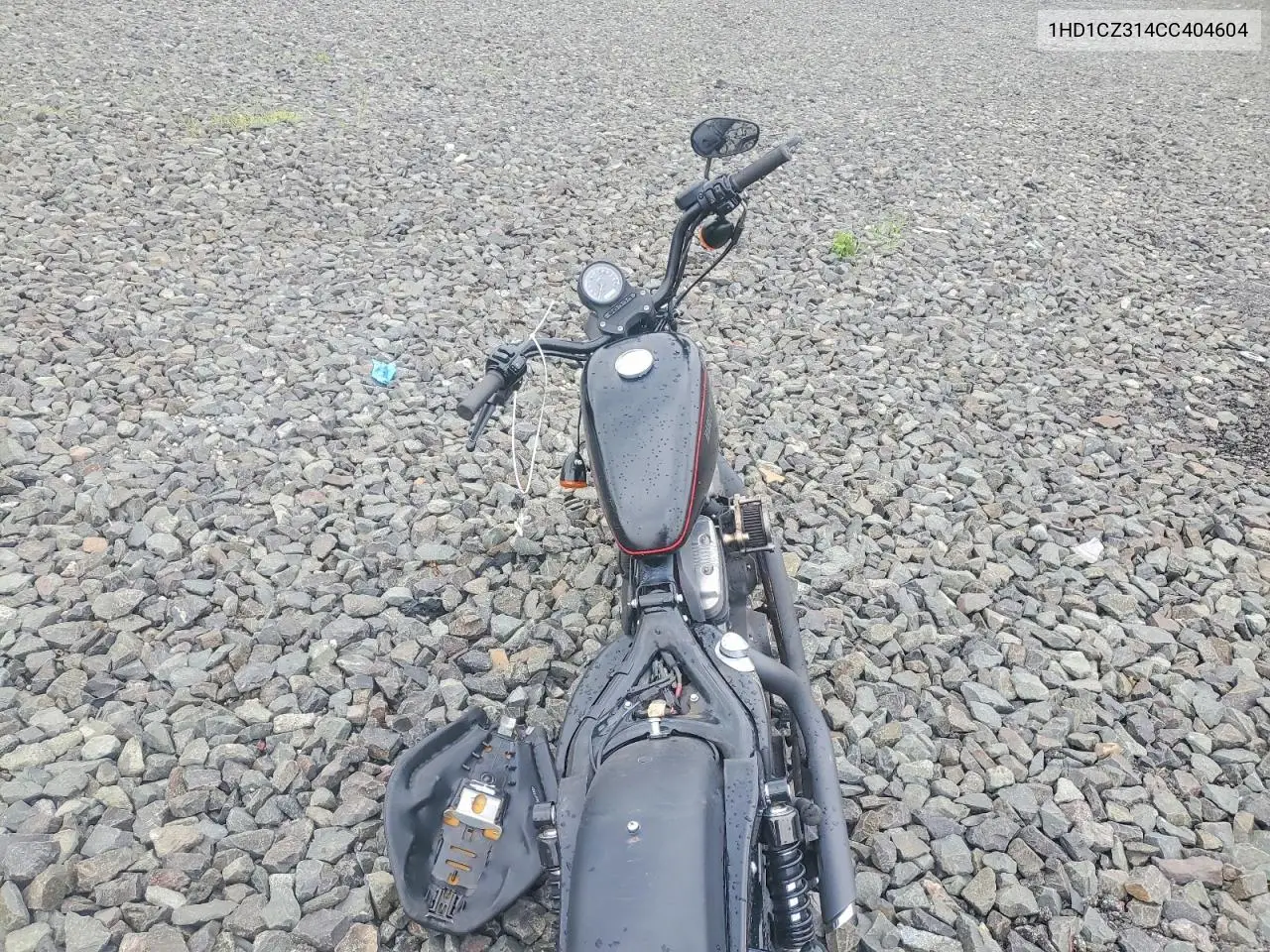 2012 Harley-Davidson Xl1200 Nightster VIN: 1HD1CZ314CC404604 Lot: 58963816
