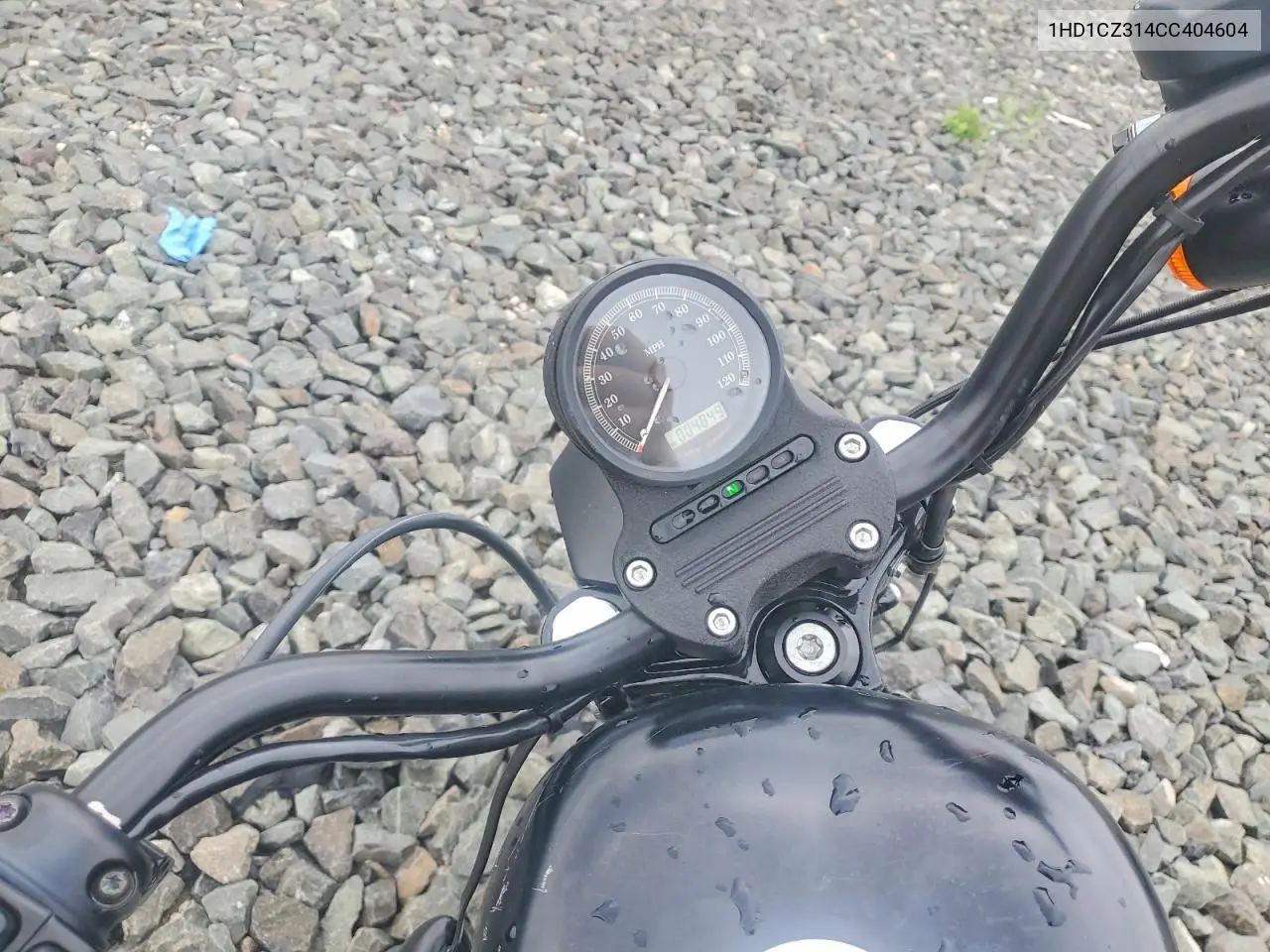 2012 Harley-Davidson Xl1200 Nightster VIN: 1HD1CZ314CC404604 Lot: 58963816