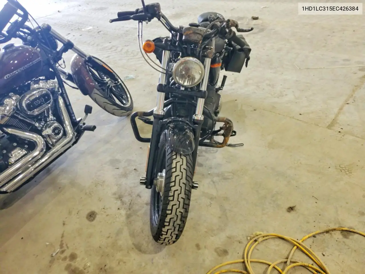 2014 Harley-Davidson Xl1200 Forty-Eight VIN: 1HD1LC315EC426384 Lot: 59235736