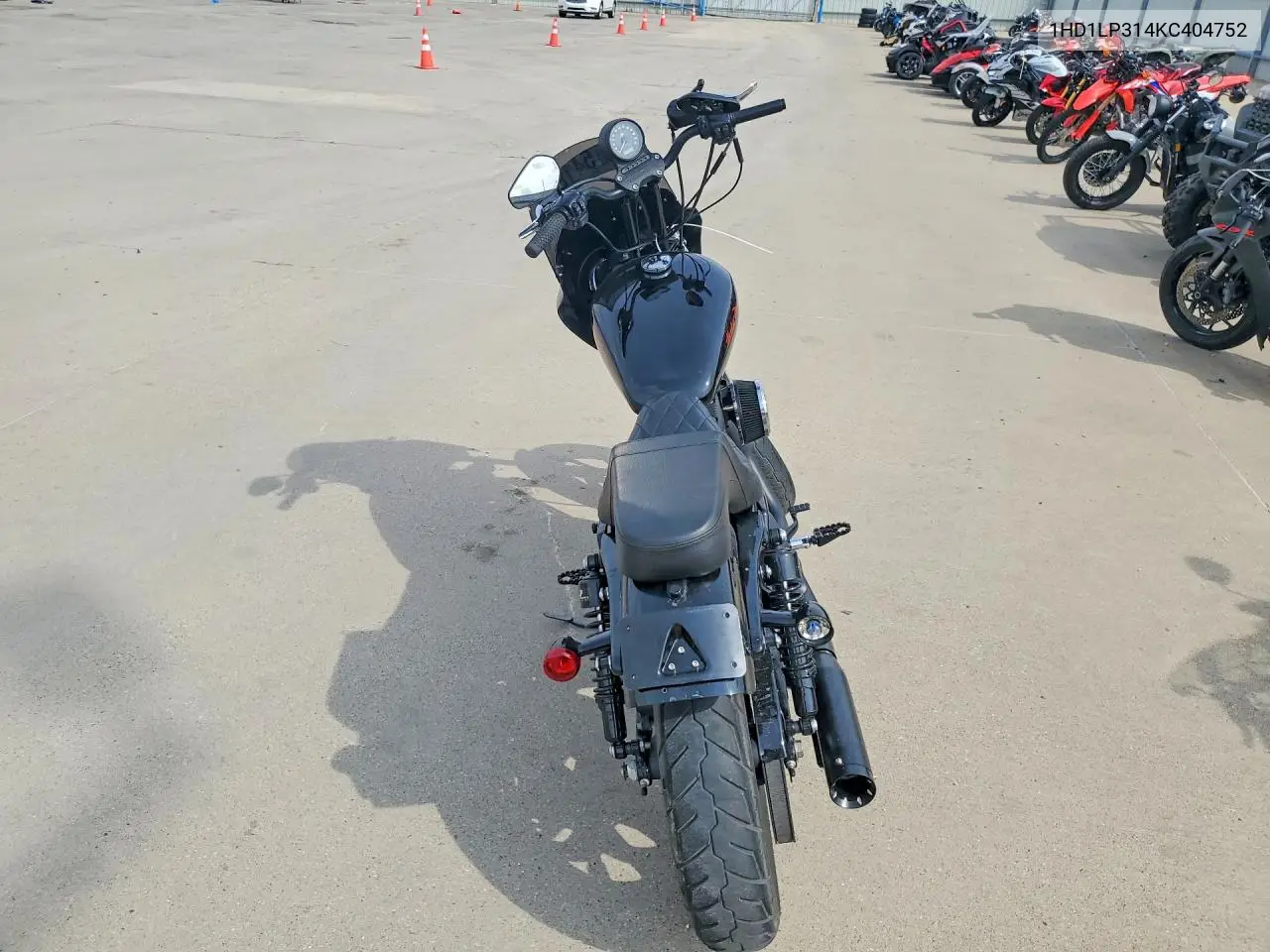 sportster