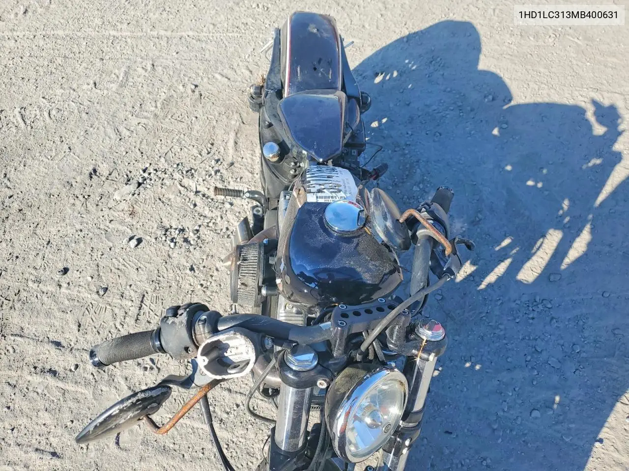 sportster