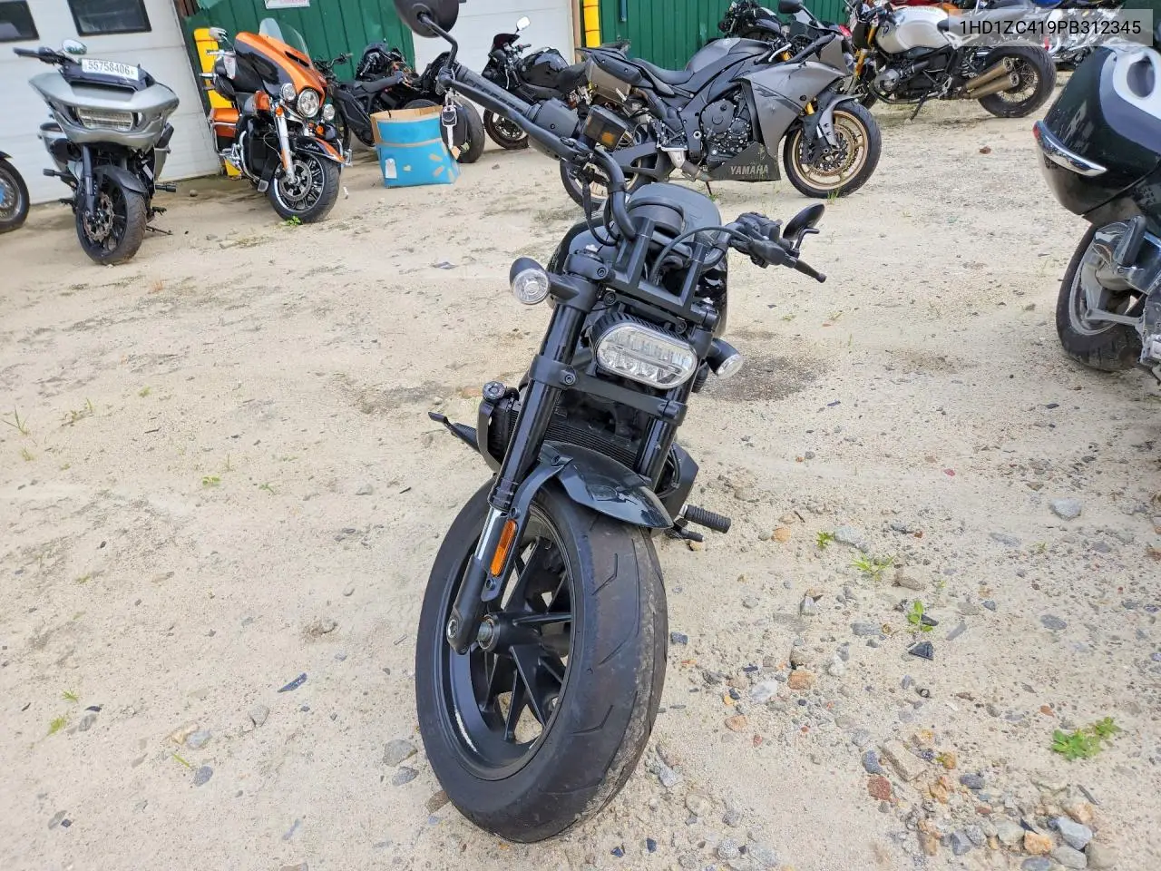 2023 Harley-Davidson Rh1250 S VIN: 1HD1ZC419PB312345 Lot: 59613186