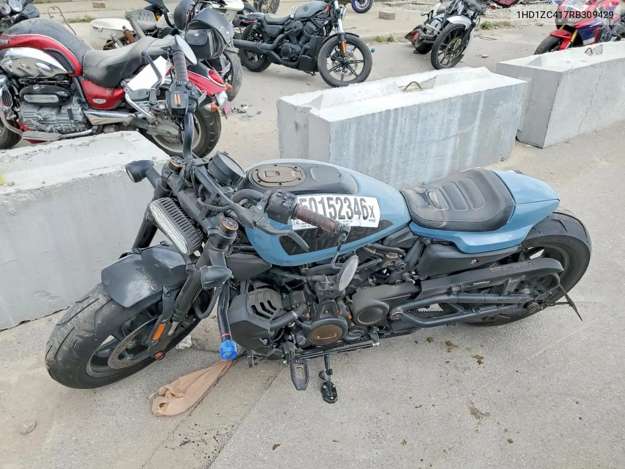 sportster