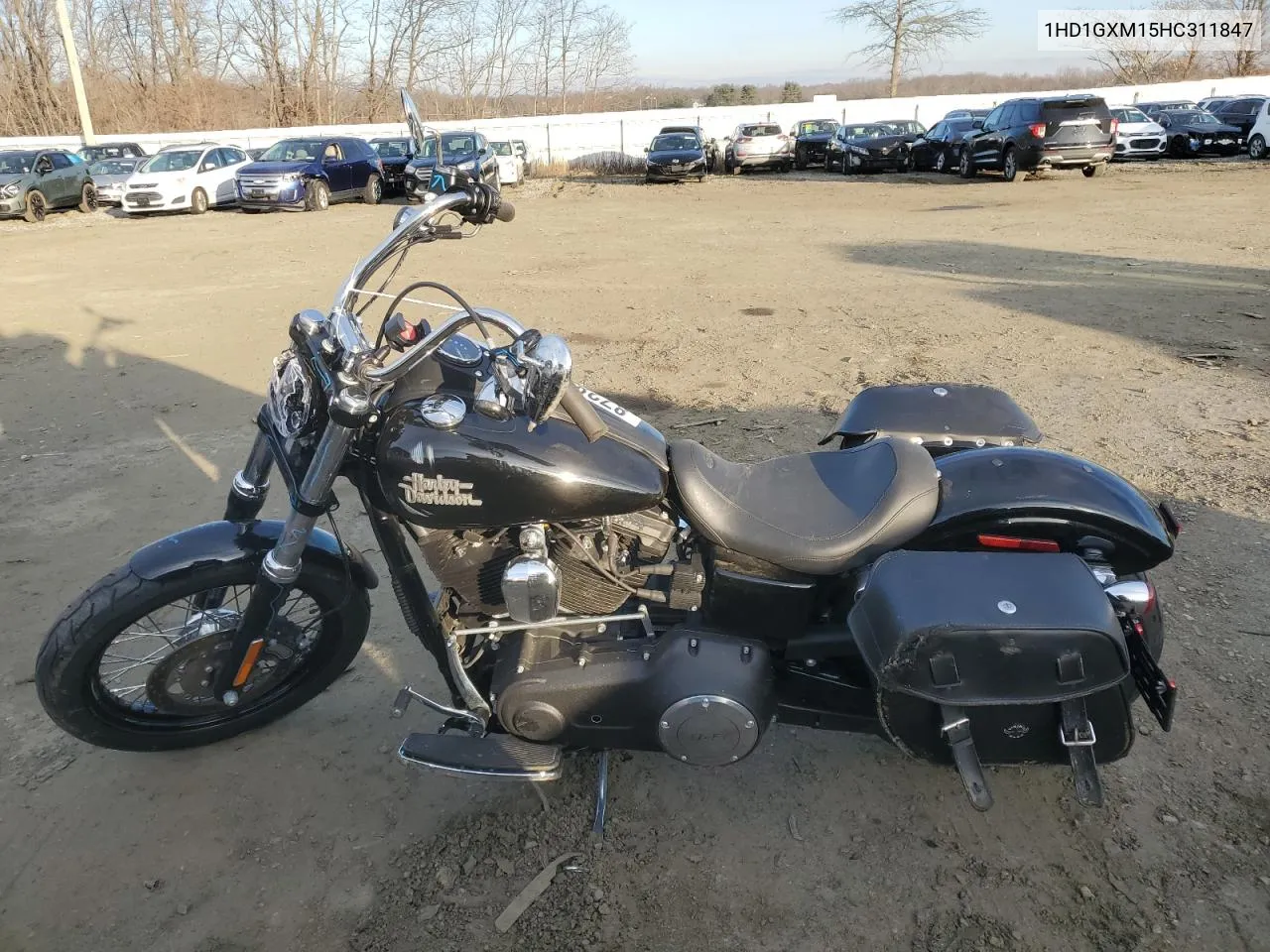 street bob