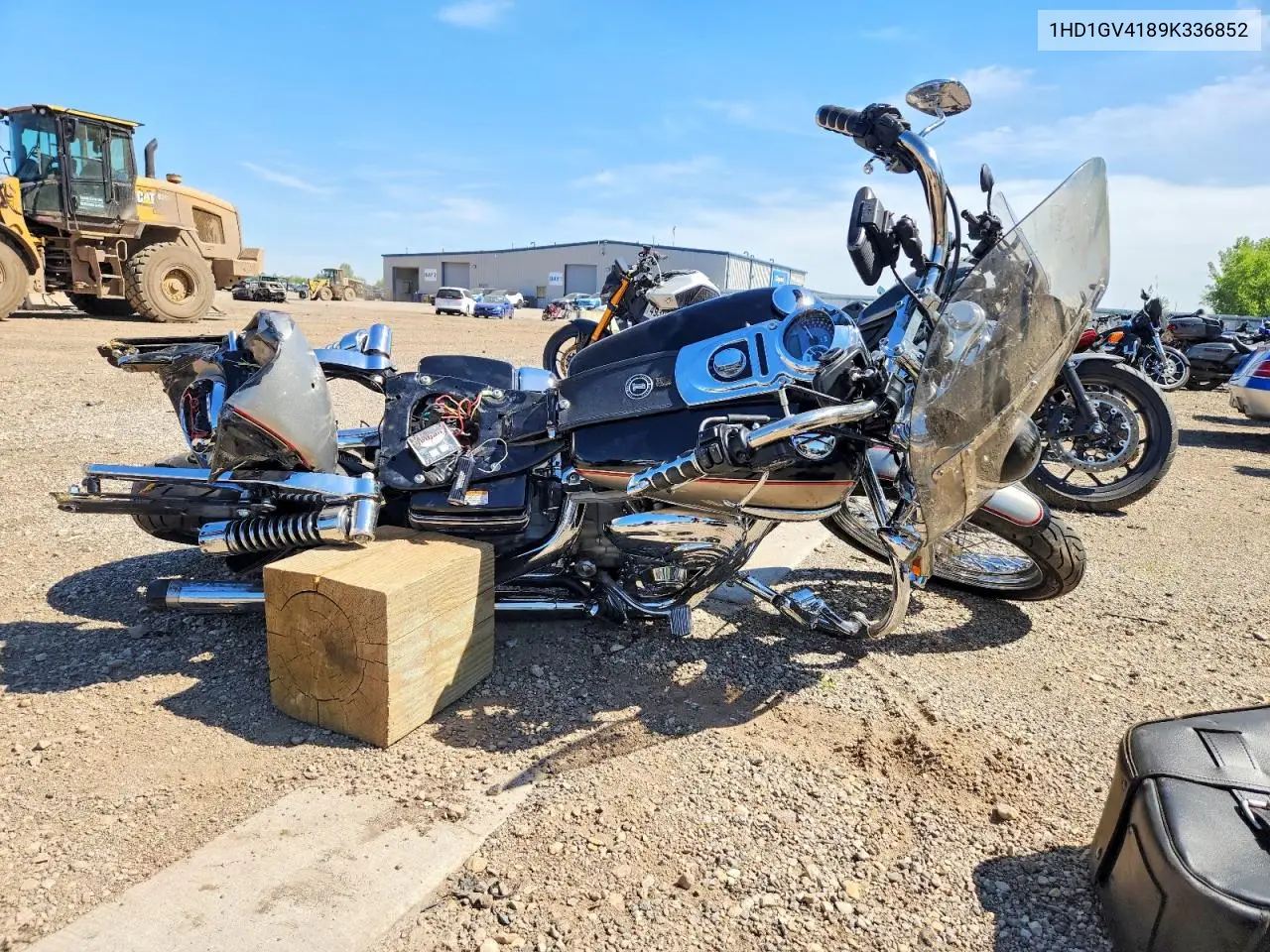2009 Harley-Davidson Fxdc VIN: 1HD1GV4189K336852 Lot: 55976436
