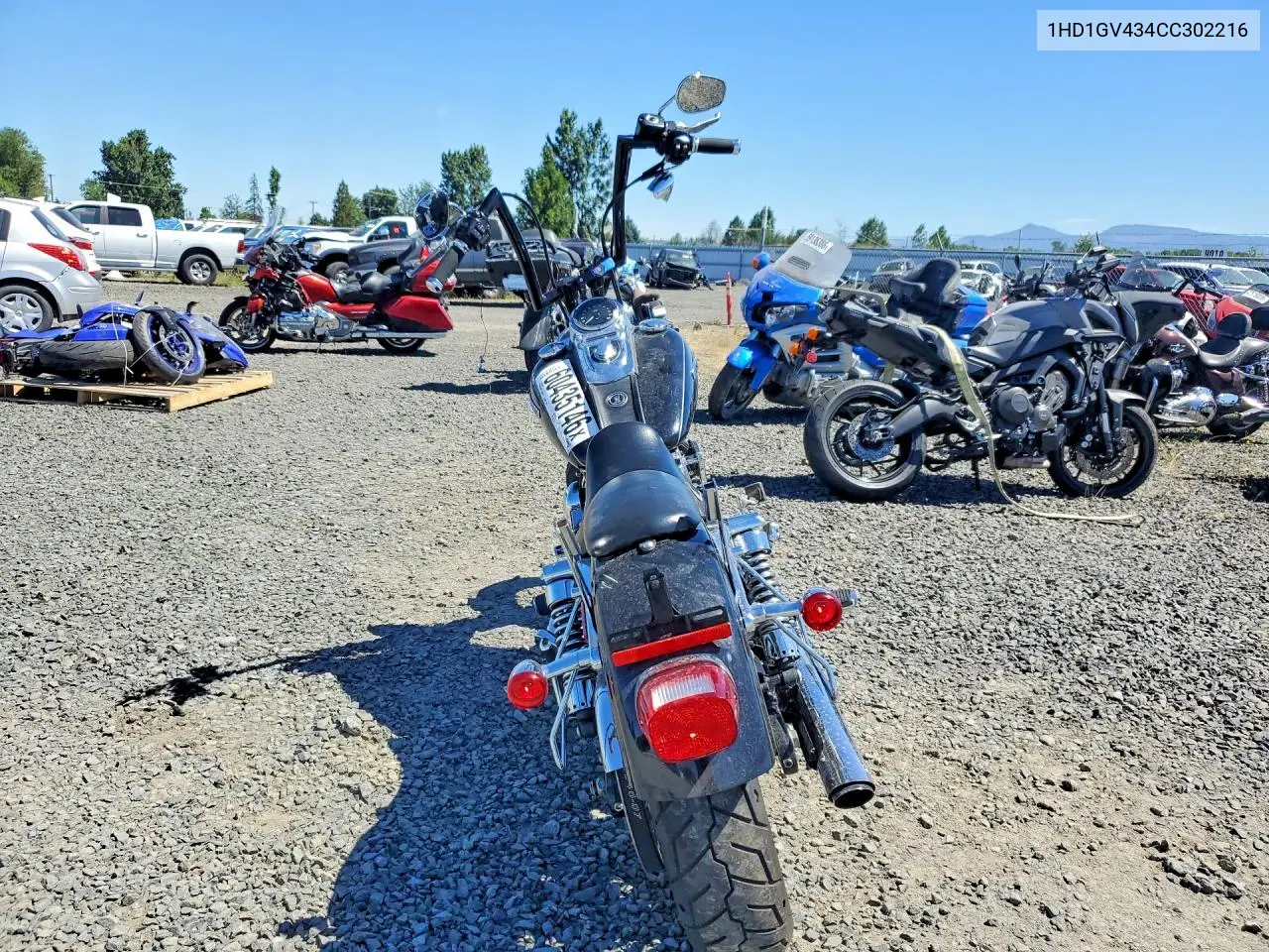 2012 Harley-Davidson Fxdc Dyna Super Glide VIN: 1HD1GV434CC302216 Lot: 60435146