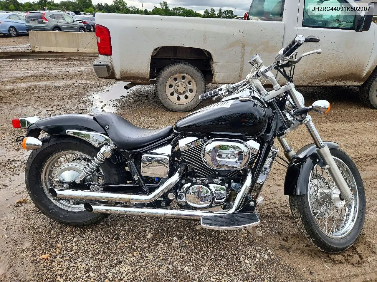 2001 Honda Vt750 Dc VIN: JH2RC44091K502907 Lot: 57441176