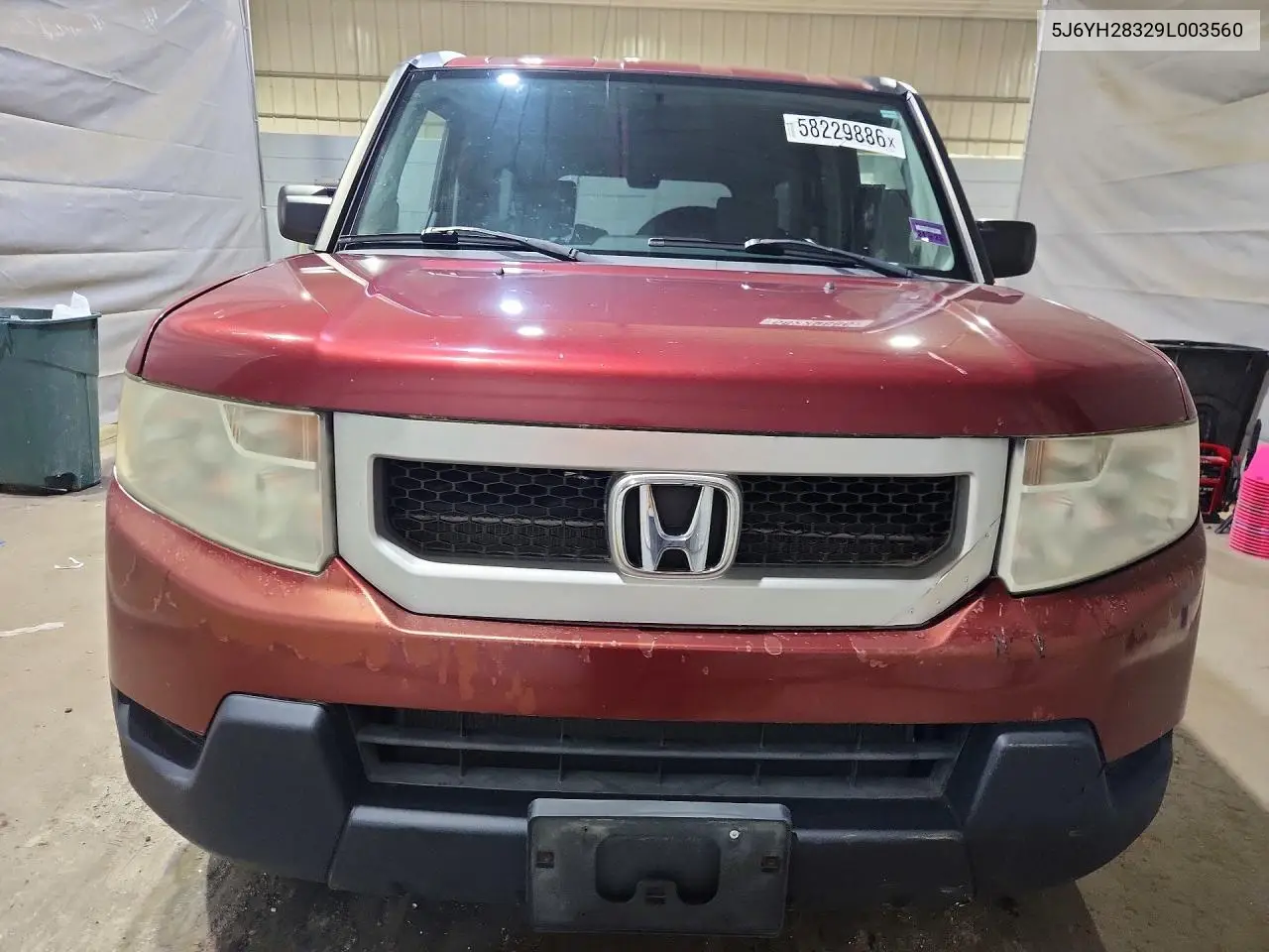 2009 Honda Element Lx VIN: 5J6YH28329L003560 Lot: 58229886
