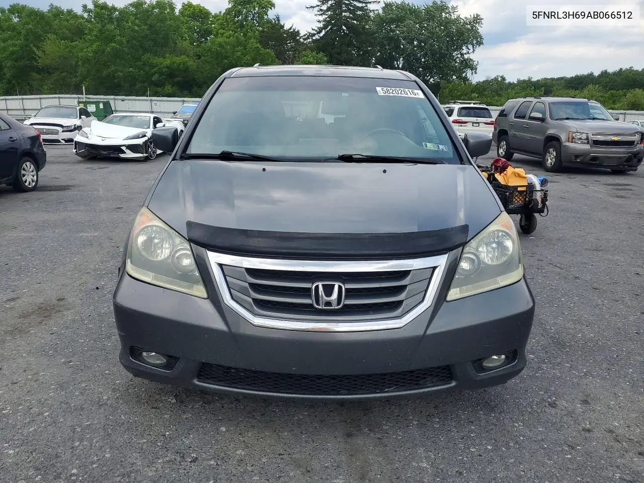 2010 Honda Odyssey Exl VIN: 5FNRL3H69AB066512 Lot: 58202616