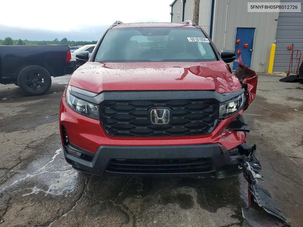 2023 Honda Passport Elite VIN: 5FNYF8H05PB012726 Lot: 60181856