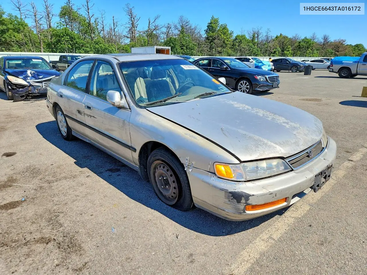 1996 Honda Accord Lx VIN: 1HGCE6643TA016172 Lot: 61362736