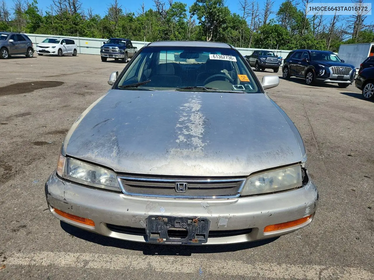 1996 Honda Accord Lx VIN: 1HGCE6643TA016172 Lot: 61362736