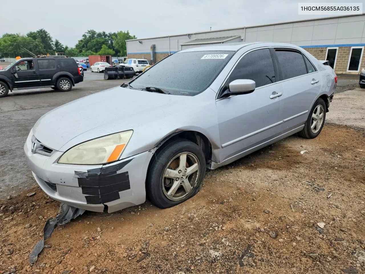 2005 Honda Accord Ex VIN: 1HGCM56855A036135 Lot: 61709526