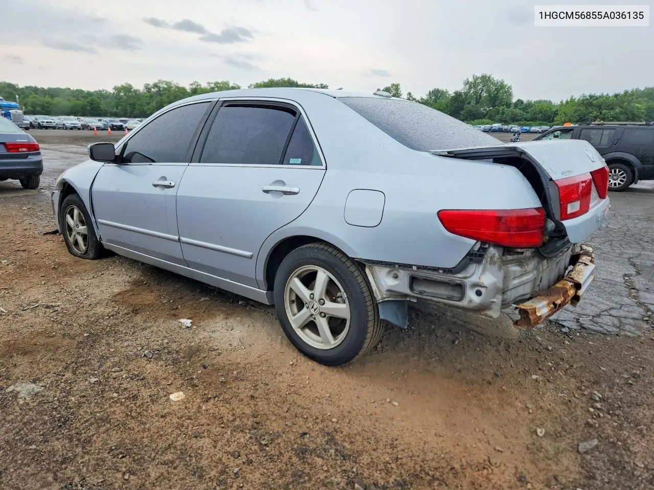 2005 Honda Accord Ex VIN: 1HGCM56855A036135 Lot: 61709526