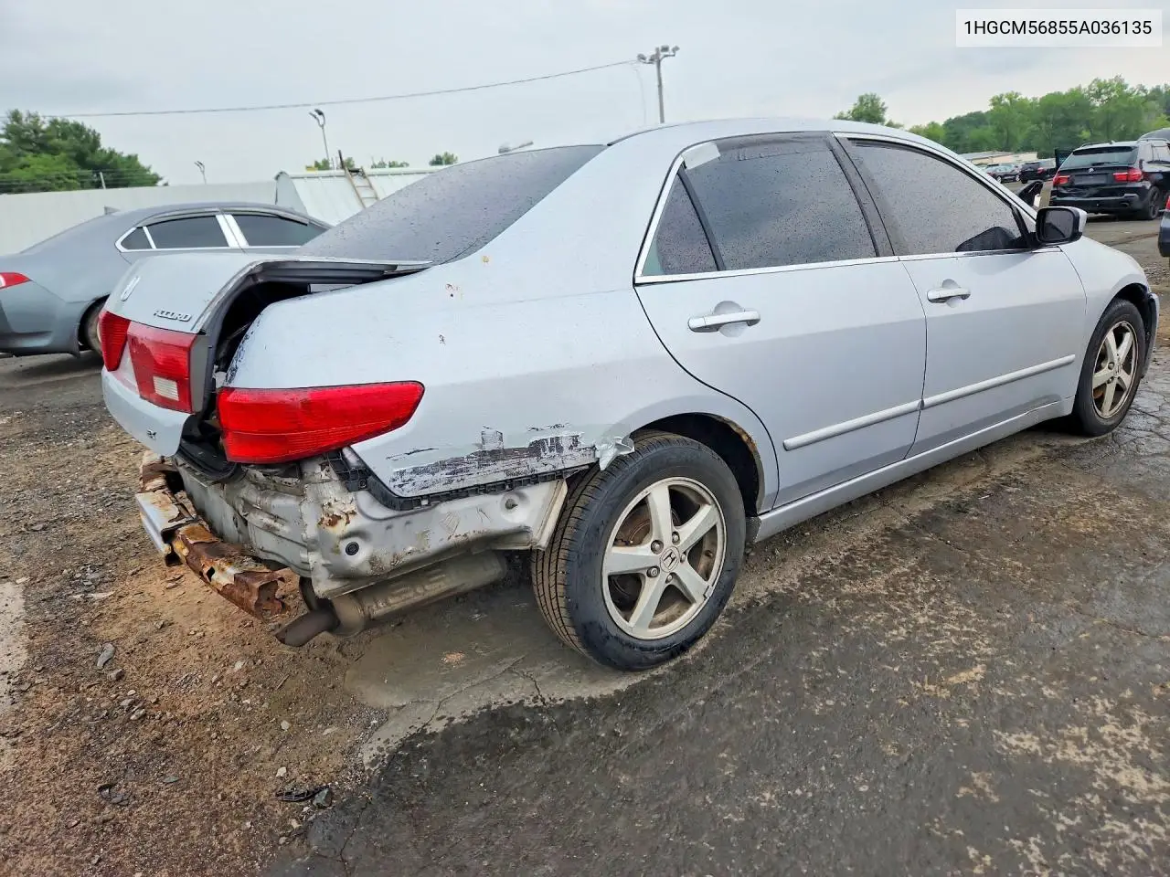 2005 Honda Accord Ex VIN: 1HGCM56855A036135 Lot: 61709526
