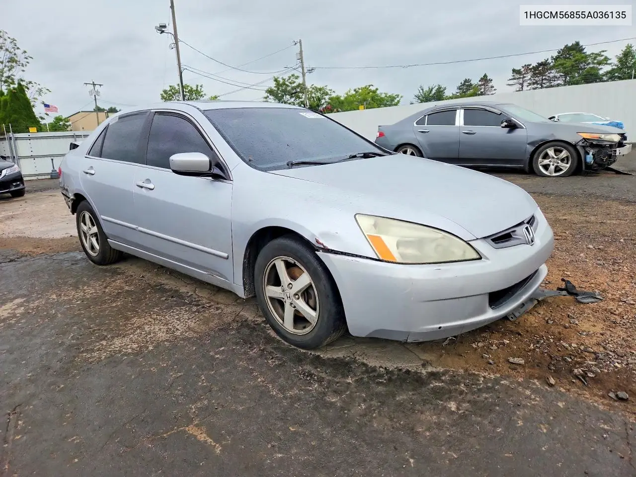 2005 Honda Accord Ex VIN: 1HGCM56855A036135 Lot: 61709526