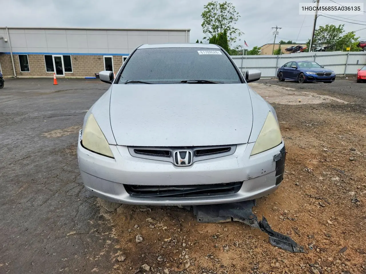 2005 Honda Accord Ex VIN: 1HGCM56855A036135 Lot: 61709526